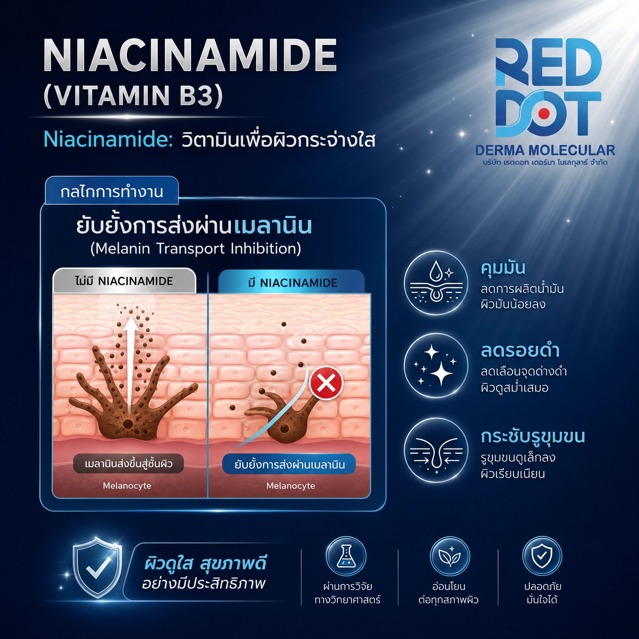 Niacinamide ไนอะซินาไมด์ สารสกัด สกินแคร์ OEM Reddot